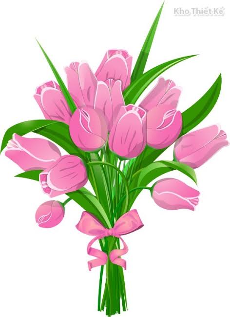Bó hoa tulip hồng buộc nơ